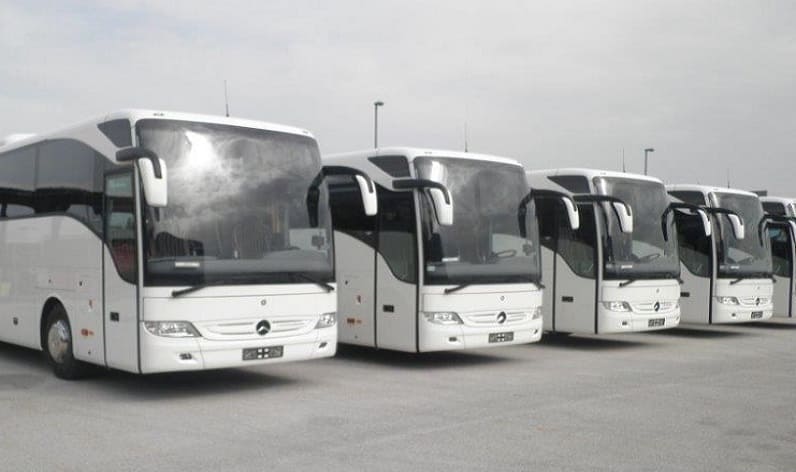 Burgenland: Bus company in Eisenstadt in Eisenstadt and Austria