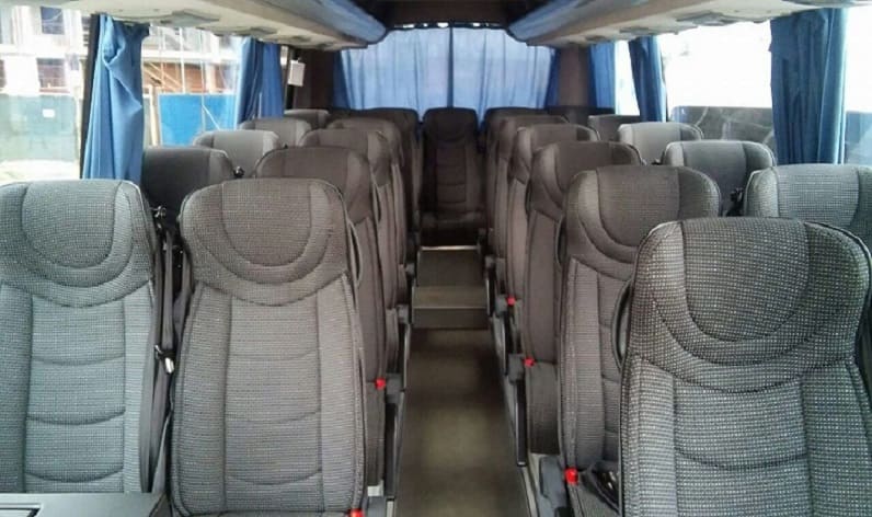 Hungary: Coach hire in Győr-Moson-Sopron in Győr-Moson-Sopron and Sopron