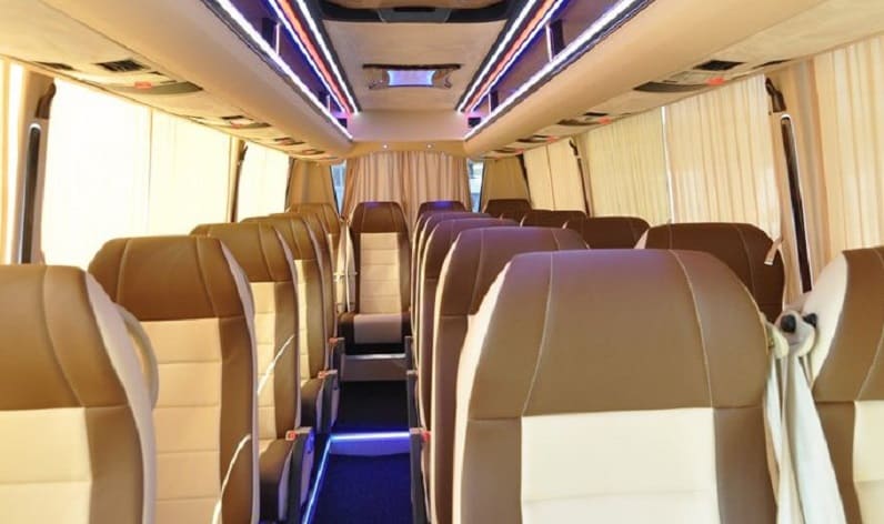 Hungary: Coach reservation in Győr-Moson-Sopron in Győr-Moson-Sopron and Győr